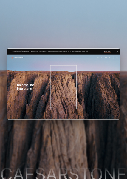 Caesarstone - Marble Solutions